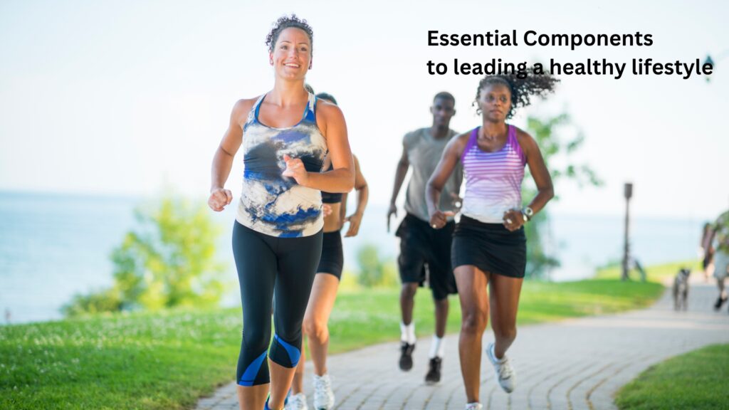 Essential Components to leading a healthy lifestyle